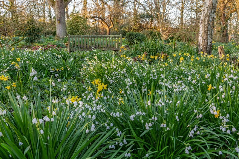 Bates Green Garden